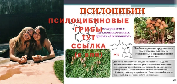 Альфа ПВП Медвежьегорск