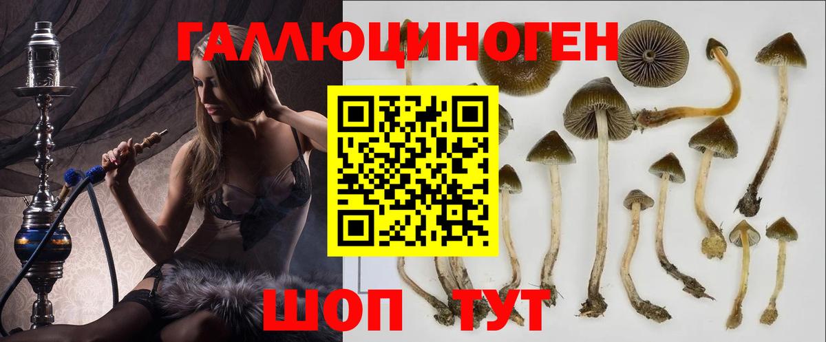 Псилоцибиновые грибы Cubensis Челябинск