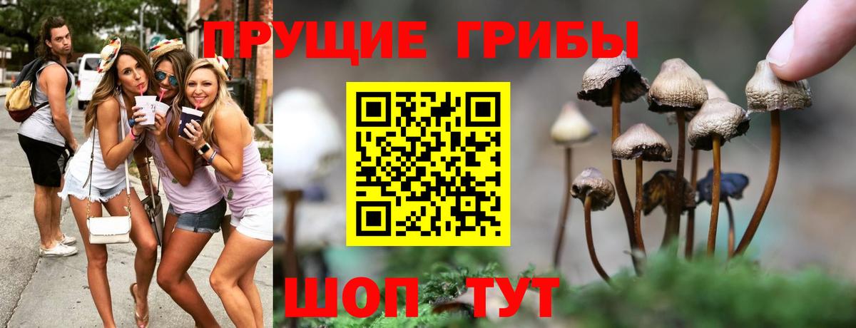 Челябинск  Псилоцибиновые грибы ЛСД  где купить   Вход с VPN 